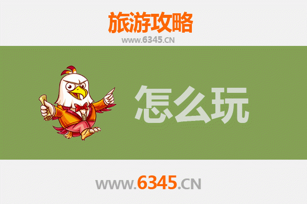 节假日鹤岗东山旅游全攻略：冰雪奇缘与森林探秘之旅